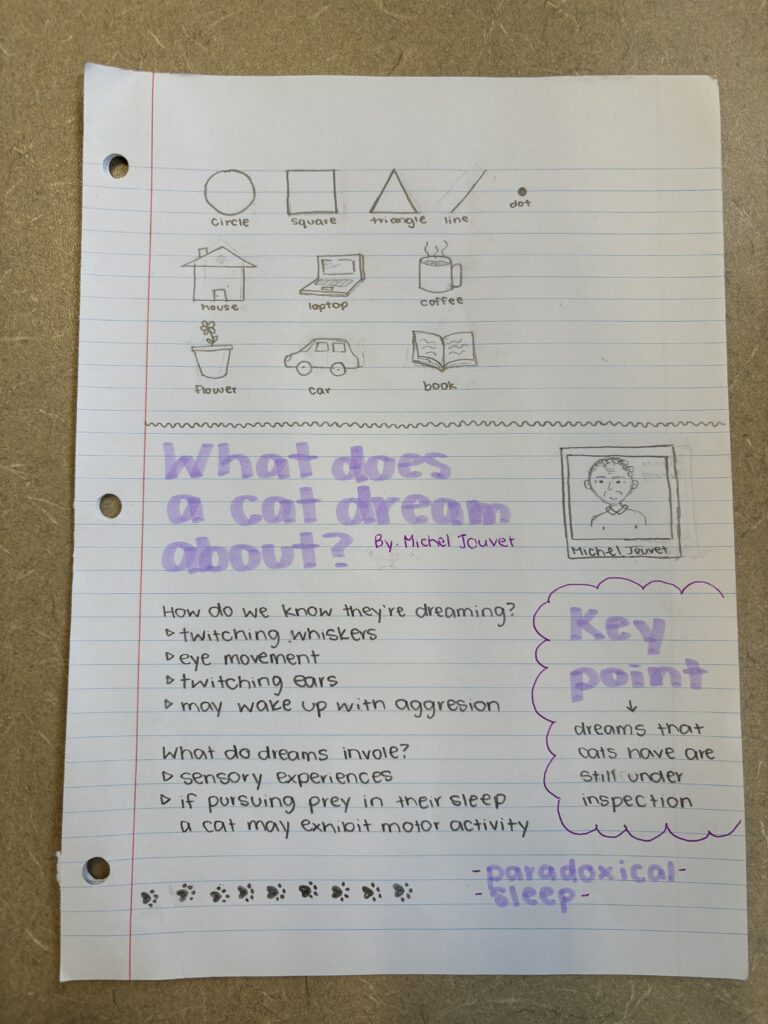 My sketch not about the article "What Does a Cat Dream About" by Michel Jouvet