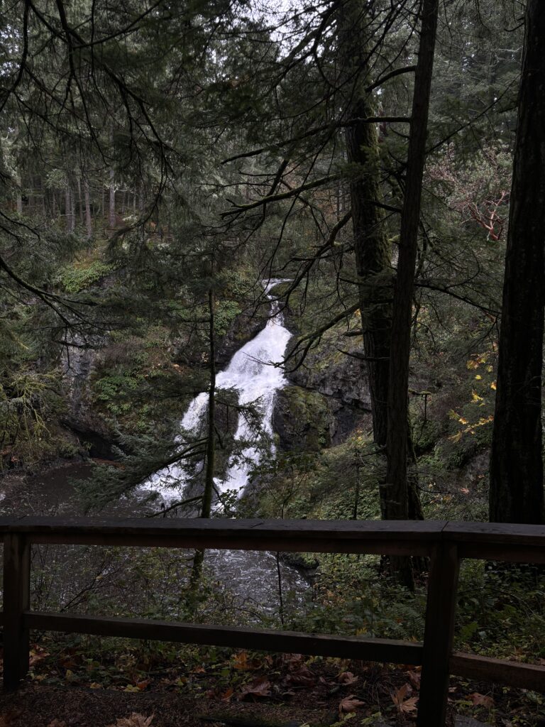 A picture of sitting lady falls 